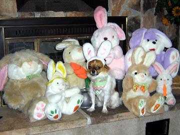 Meet my friends the Easter Bunnies - April 2007