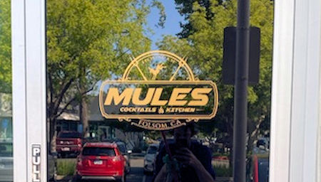 Business Logo on business door
